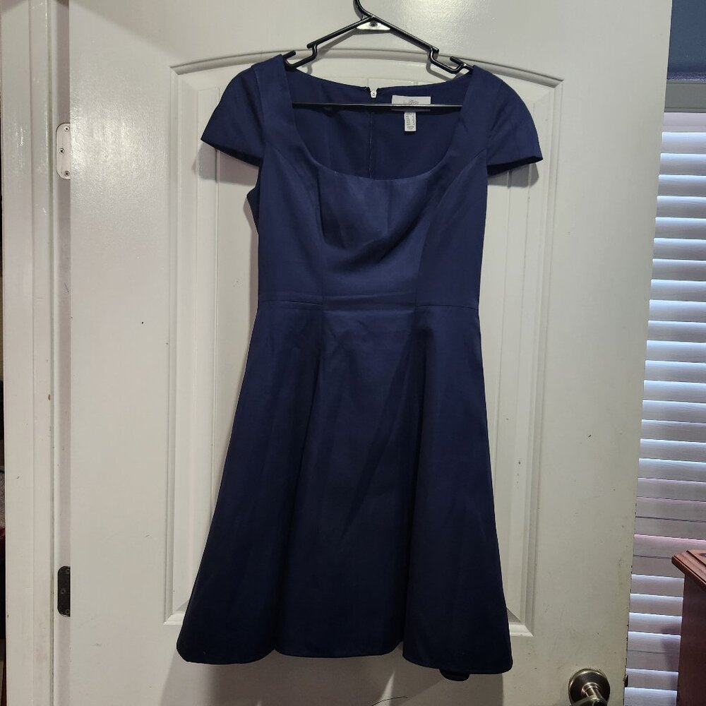 Badgley Mischka Elegant Dress